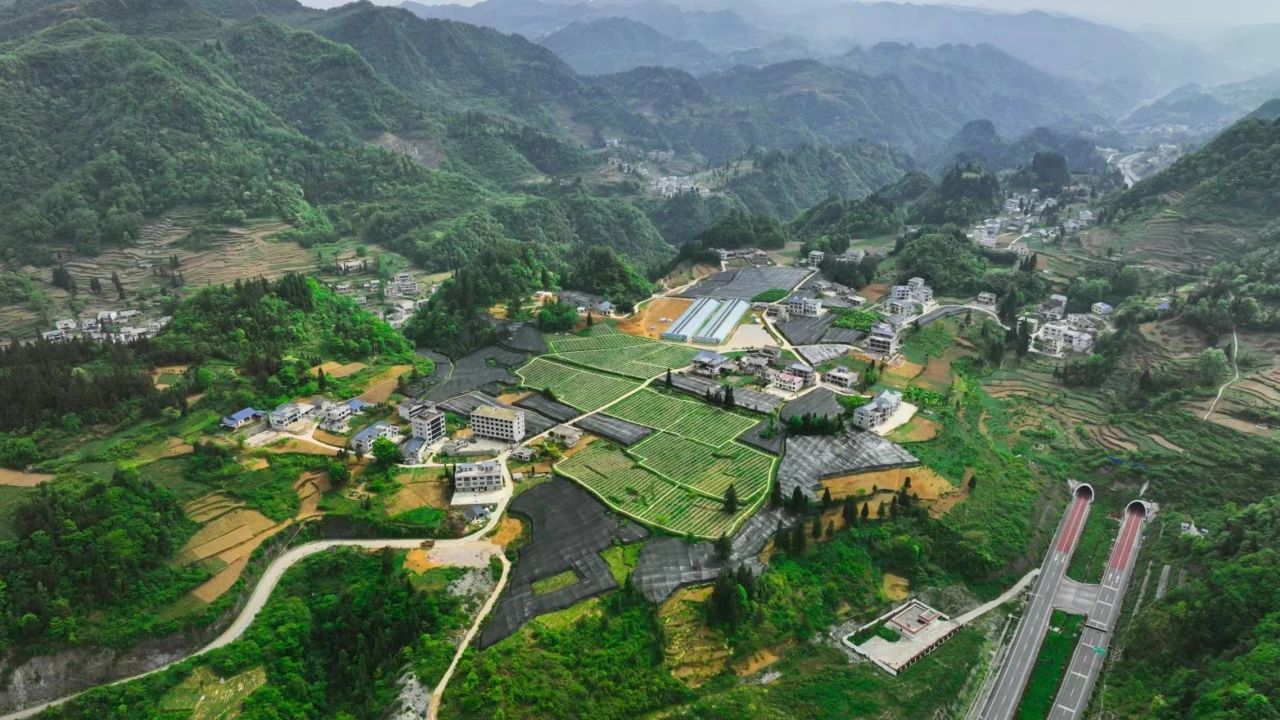 1723605192982977.jpg 1723605192982977.jpg